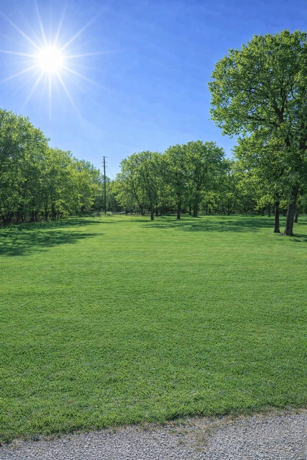 196 Johnston Lane Runaway Bay, TX 76426