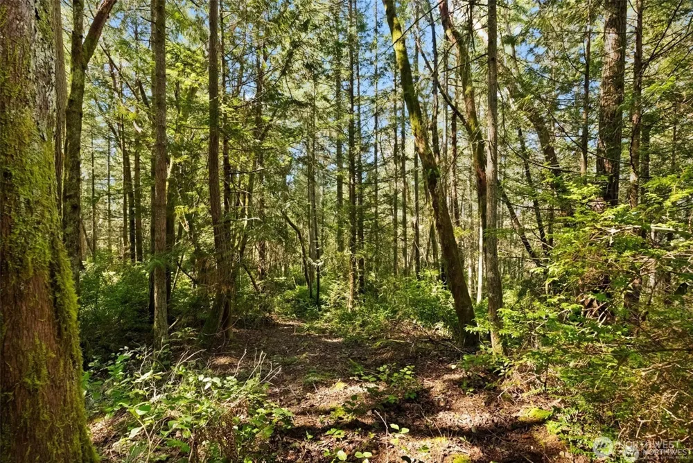 0 Canterwood Boulevard Gig Harbor, WA 98332