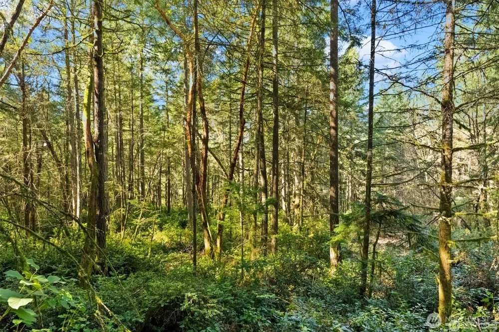 0 Canterwood Boulevard Gig Harbor, WA 98332