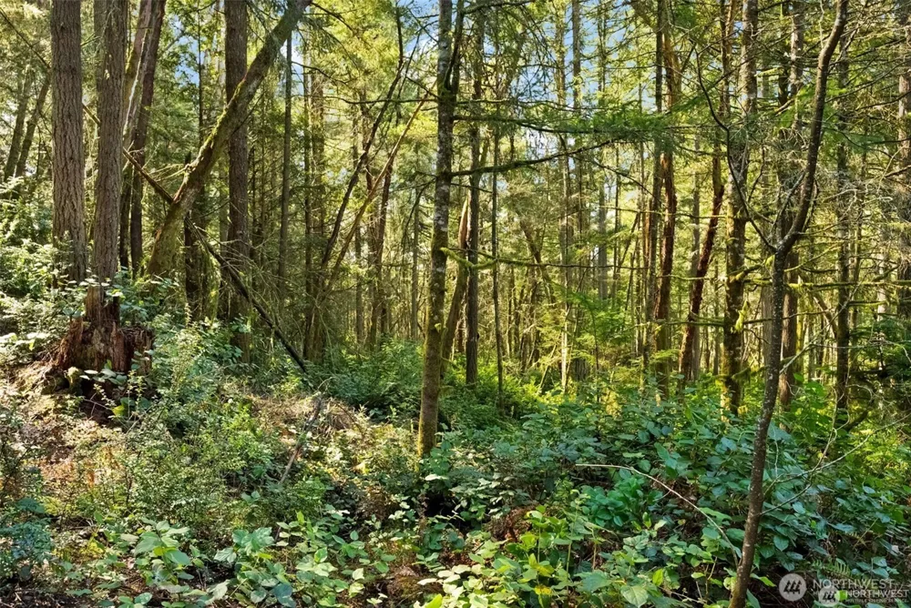 0 Canterwood Boulevard Gig Harbor, WA 98332