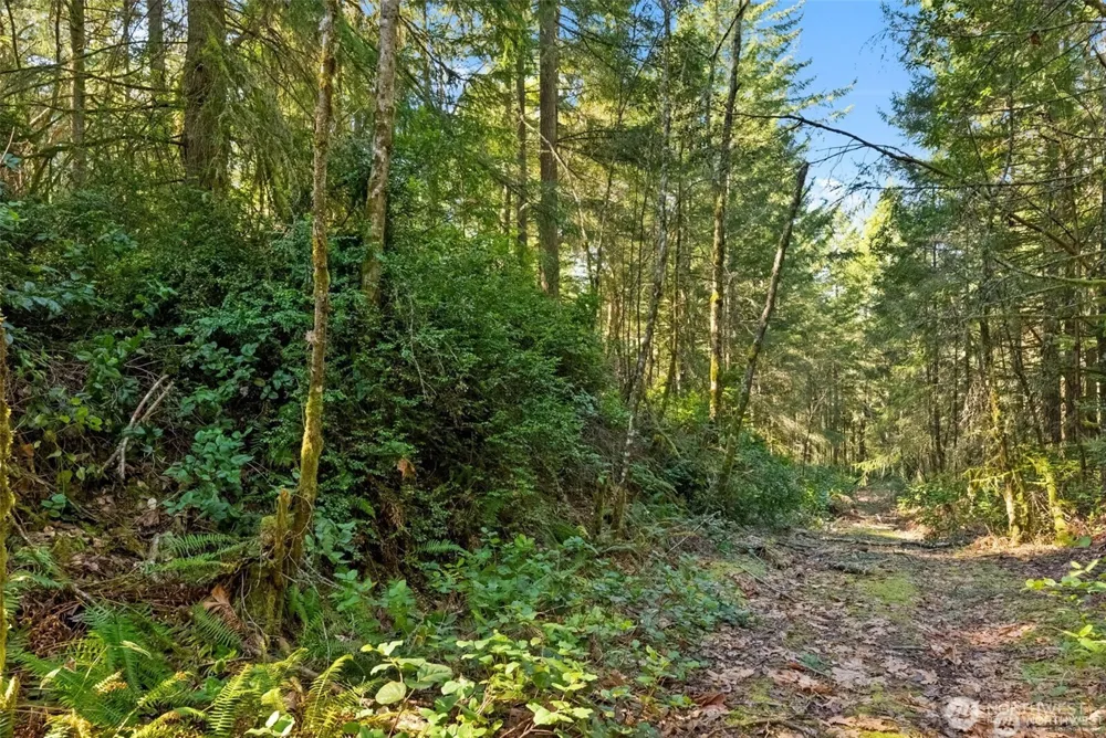 0 Canterwood Boulevard Gig Harbor, WA 98332