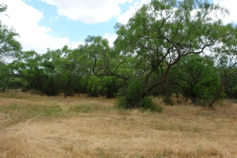 1688 Highway 573 Comanche, TX 76442