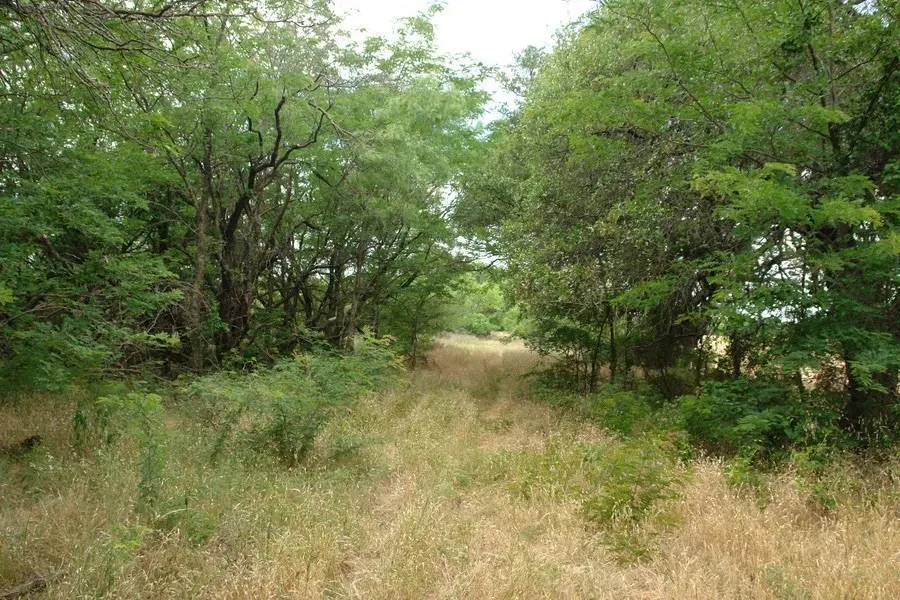 1688 Highway 573 Comanche, TX 76442