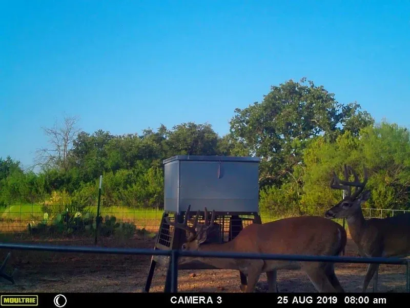 1688 Highway 573 Comanche, TX 76442