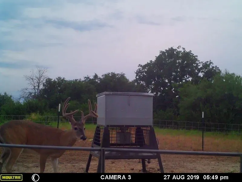 1688 Highway 573 Comanche, TX 76442