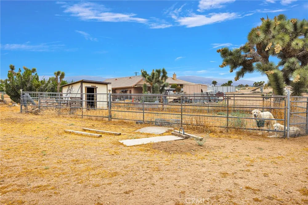 6432 Lime Road Phelan, CA 92371