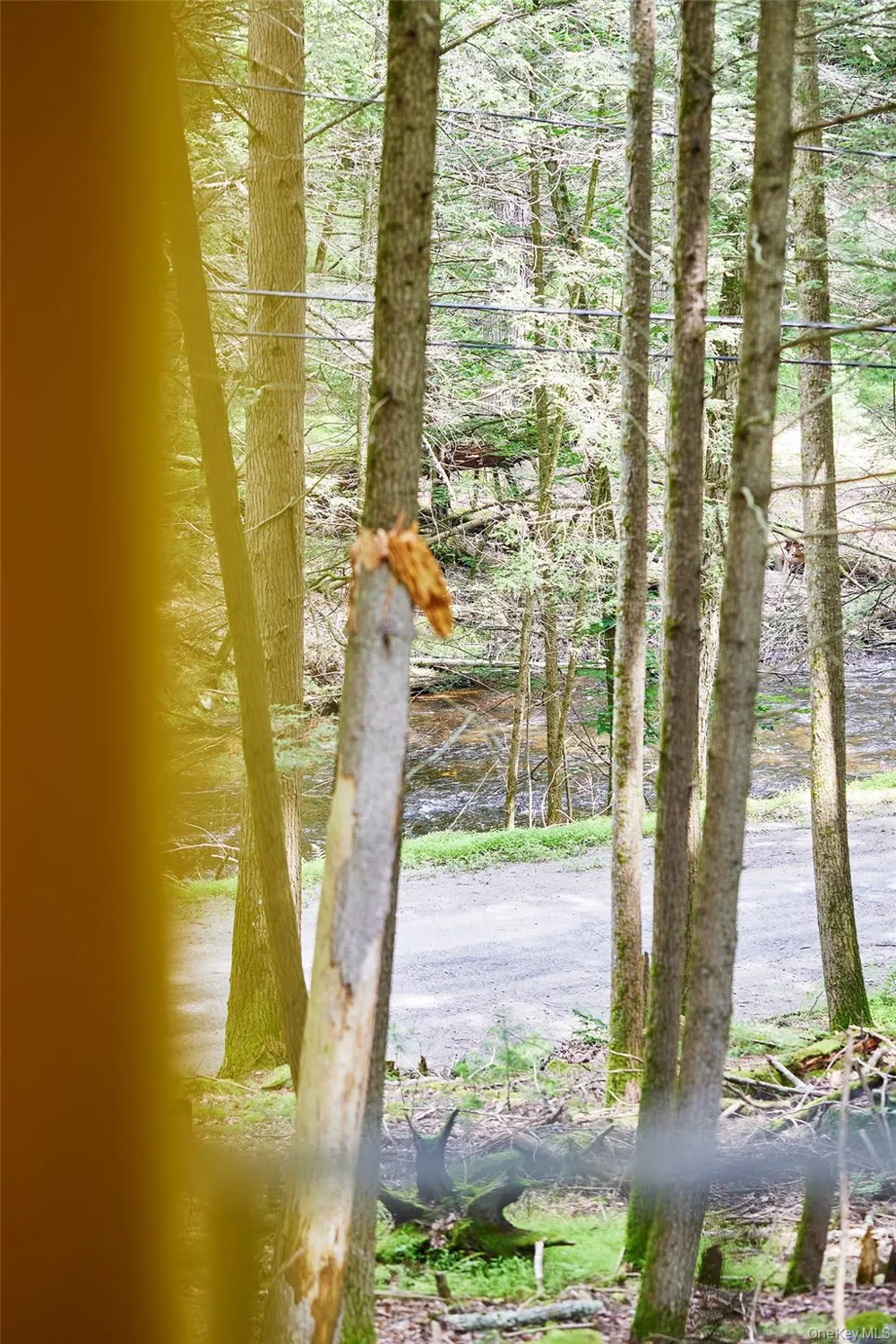 488 Black Forest Road Glen Spey, NY 12737