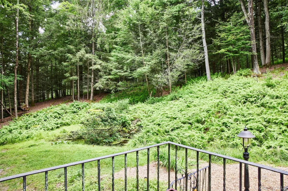 488 Black Forest Road Glen Spey, NY 12737
