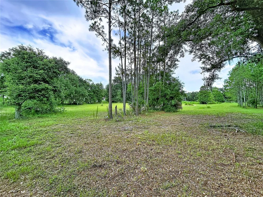 16605 HAPPY GARDEN WAY Lutz, FL 33549