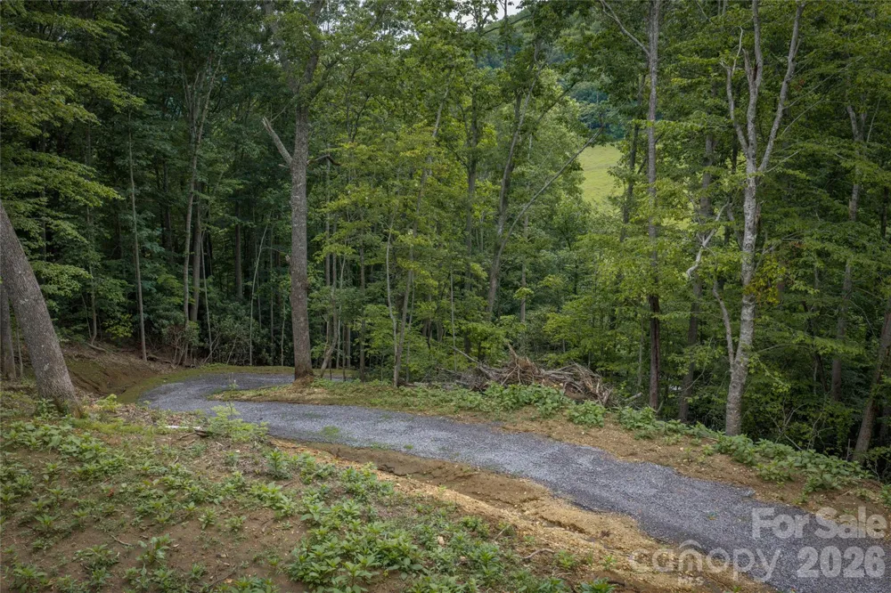 7 Wid Smith Road Burnsville, NC 28714