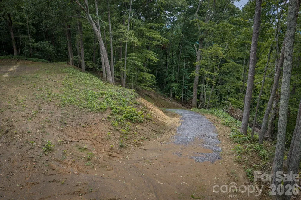 7 Wid Smith Road Burnsville, NC 28714