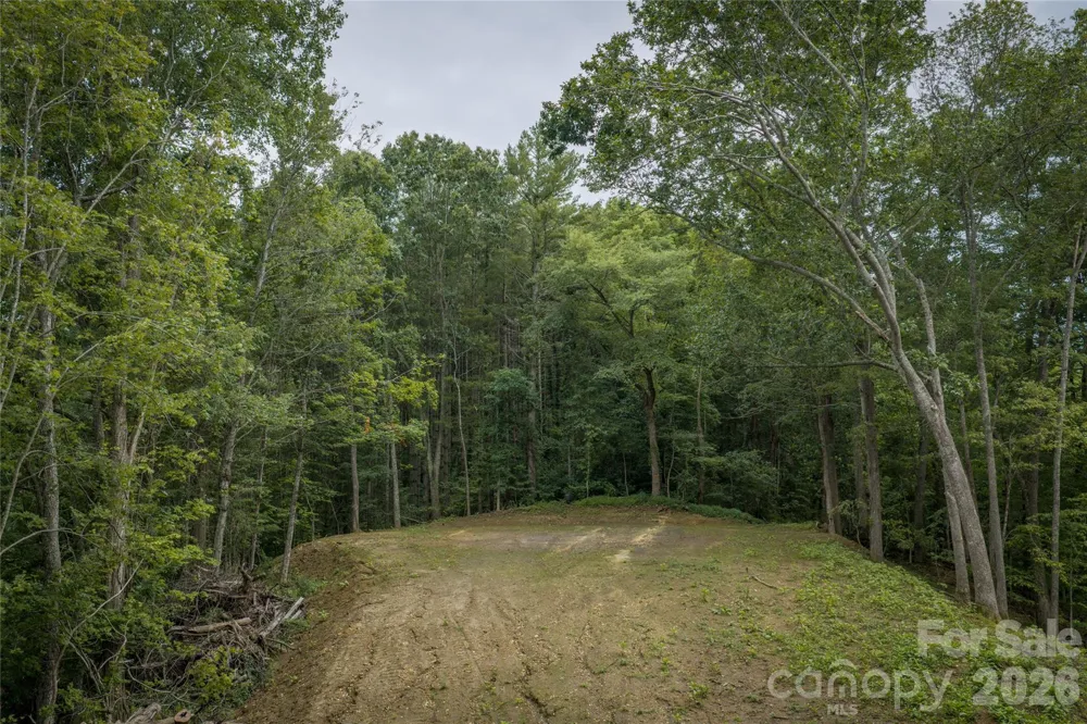 7 Wid Smith Road Burnsville, NC 28714