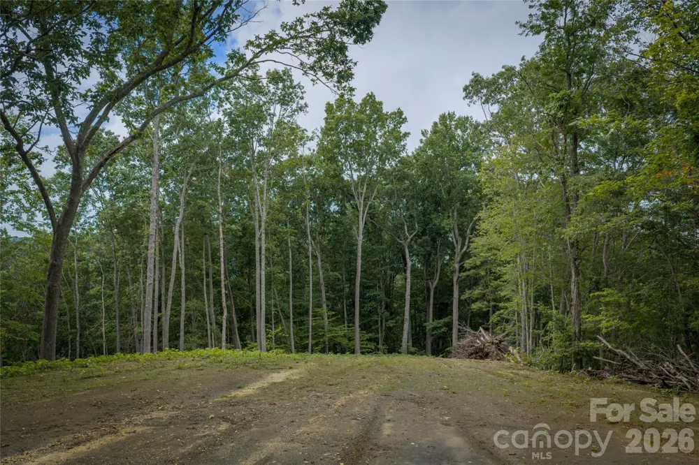 7 Wid Smith Road Burnsville, NC 28714