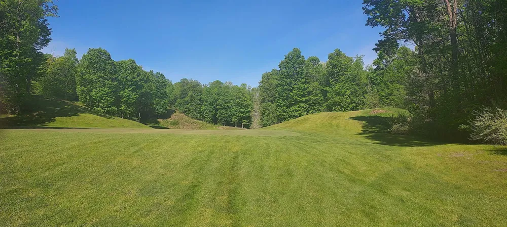 54 Sparrow Hawk Drive Kearney Township, MI 49615