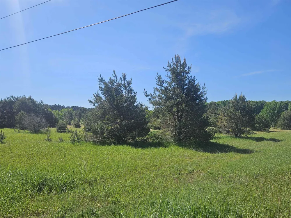 6445 NW Smith Road Rapid River Township, MI 49676