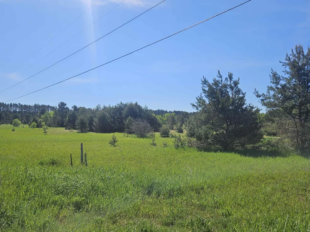6445 NW Smith Road Rapid River Township, MI 49676