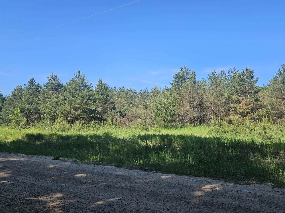 6445 NW Smith Road Rapid River Township, MI 49676