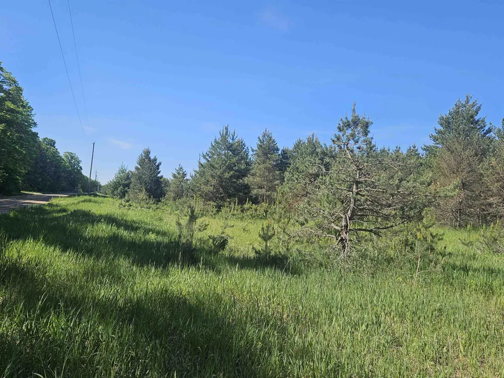 6445 NW Smith Road Rapid River Township, MI 49676