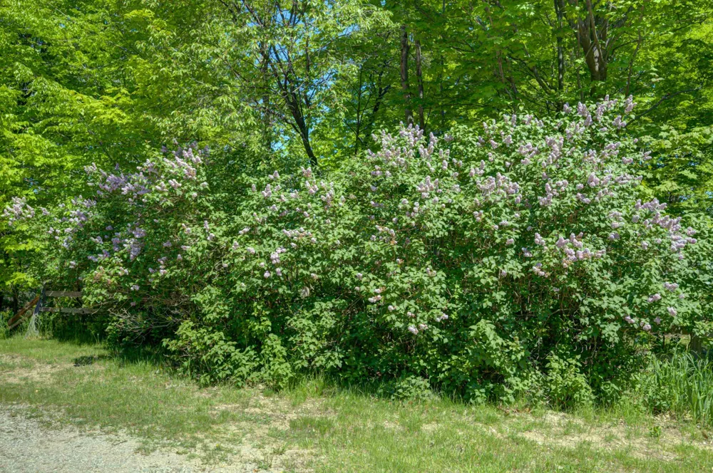 8134 NW Ruttan Road Clearwater Township, MI 49612