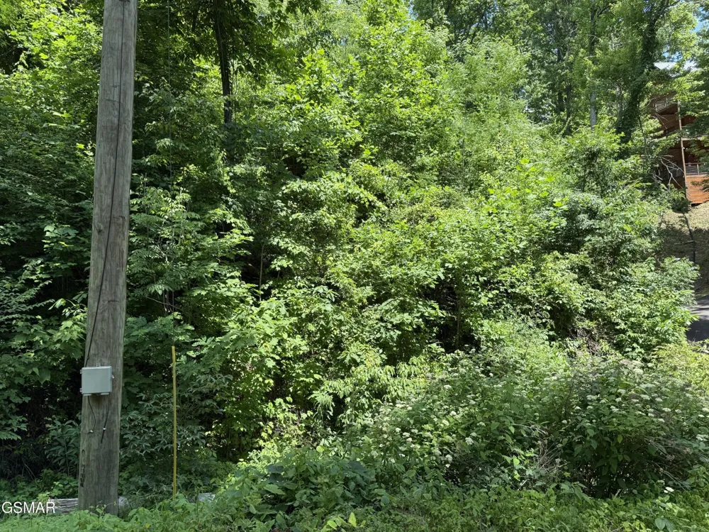 506 Crooked Ridge Road Gatlinburg, TN 37738