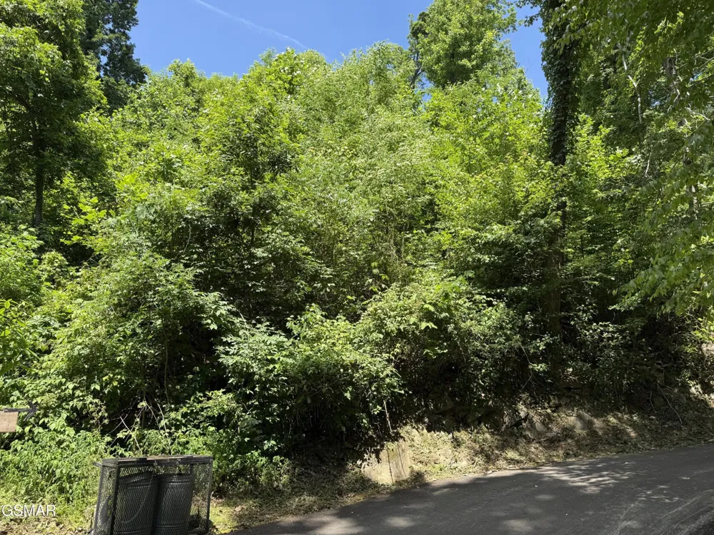 506 Crooked Ridge Road Gatlinburg, TN 37738