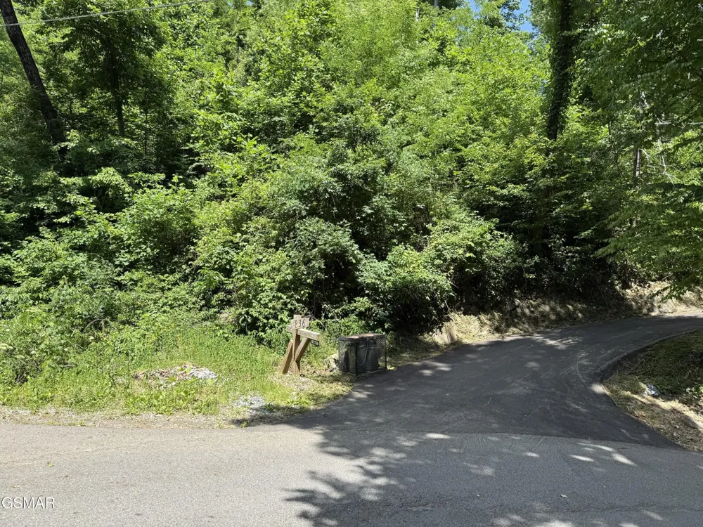 506 Crooked Ridge Road Gatlinburg, TN 37738