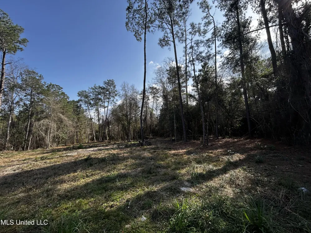 0 Lakeside Drive Carriere, MS 39426