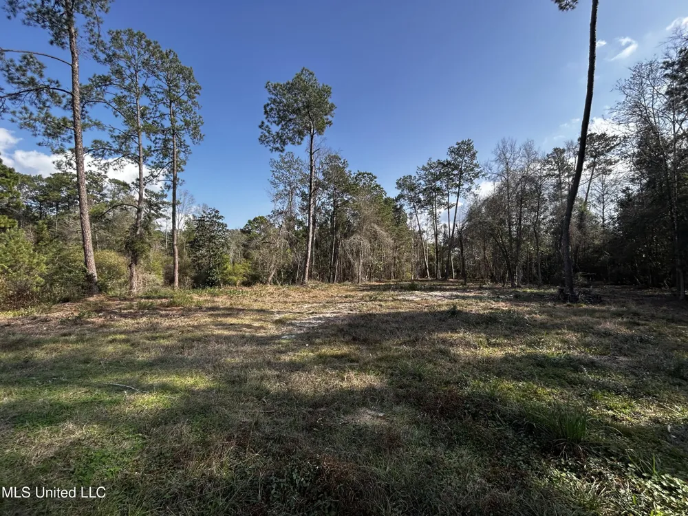 0 Lakeside Drive Carriere, MS 39426