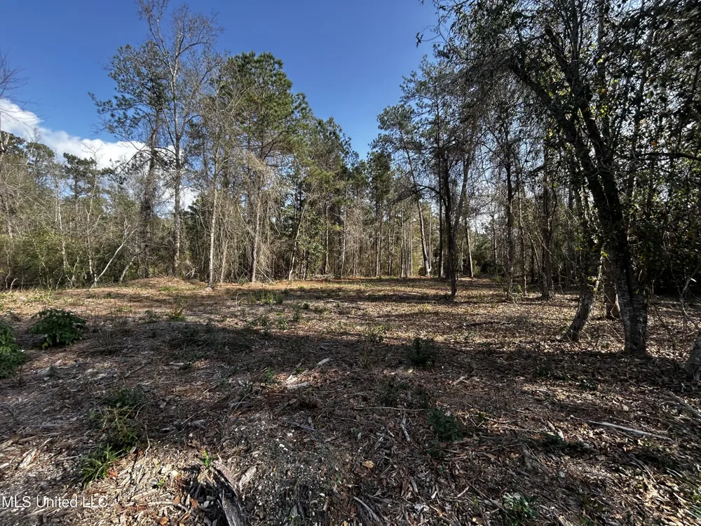 0 Lakeside Drive Carriere, MS 39426