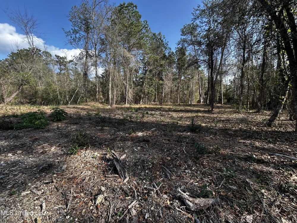 0 Lakeside Drive Carriere, MS 39426