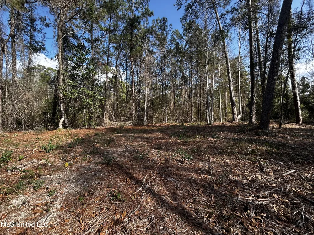 0 Lakeside Drive Carriere, MS 39426