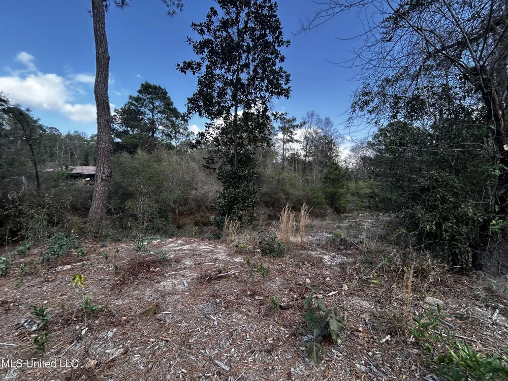 0 Lakeside Drive Carriere, MS 39426