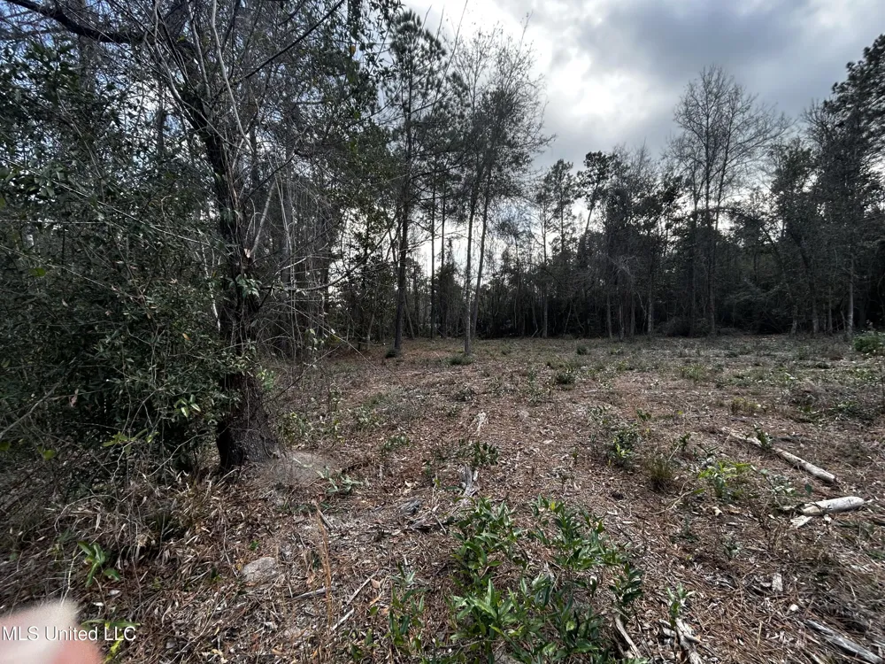 0 Lakeside Drive Carriere, MS 39426