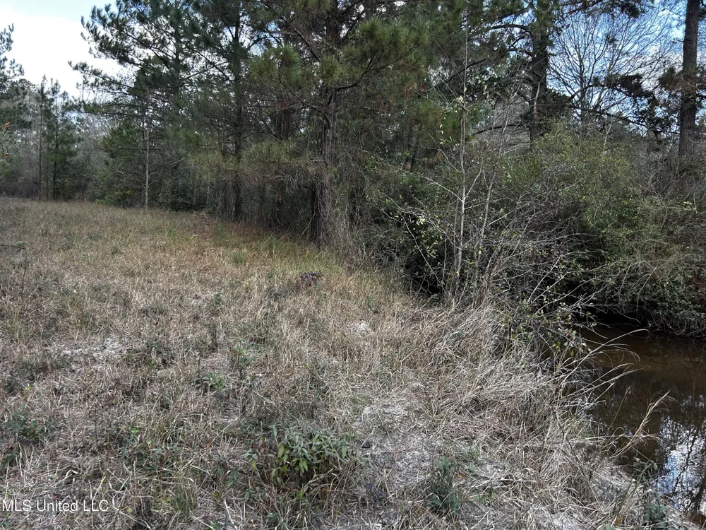 0 Lakeside Drive Carriere, MS 39426
