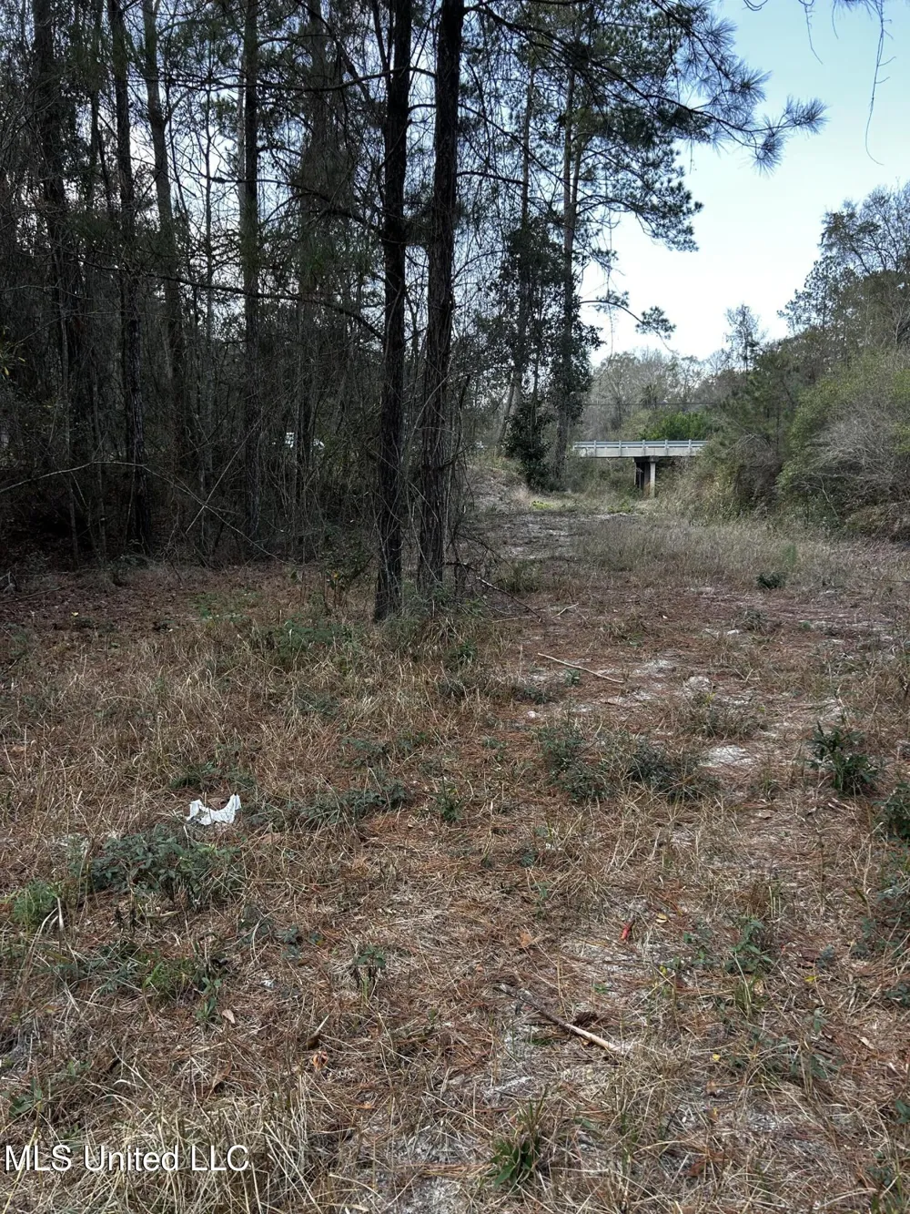 0 Lakeside Drive Carriere, MS 39426
