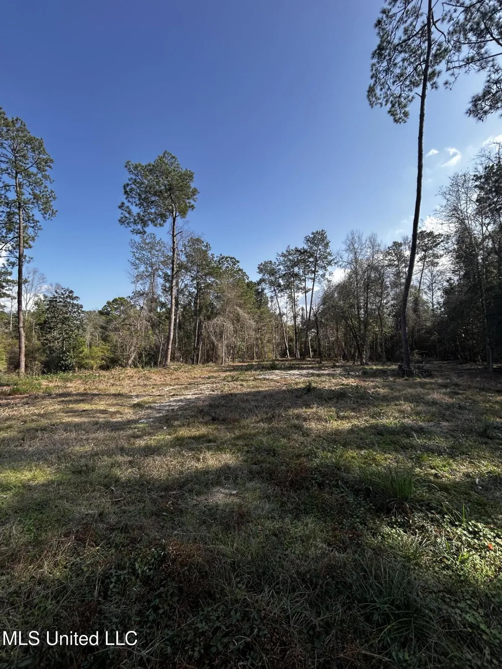 0 Lakeside Drive Carriere, MS 39426