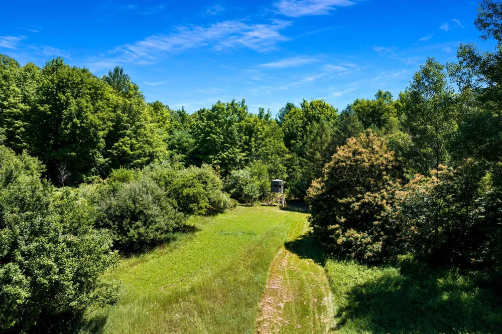 11215 Appleridge Trail Helena Township, MI 49612