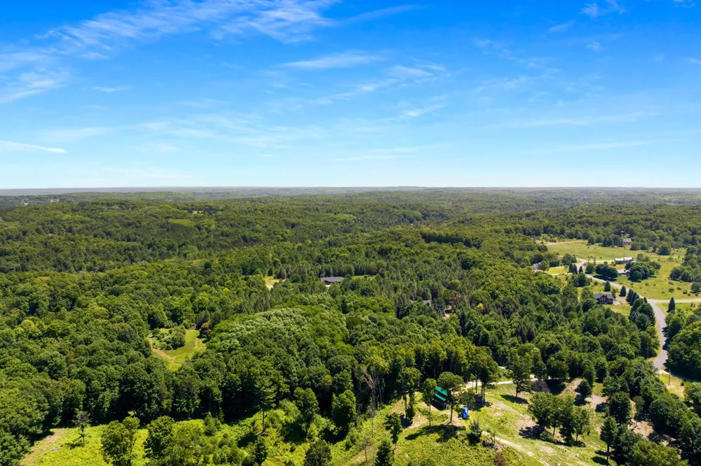 11215 Appleridge Trail Helena Township, MI 49612