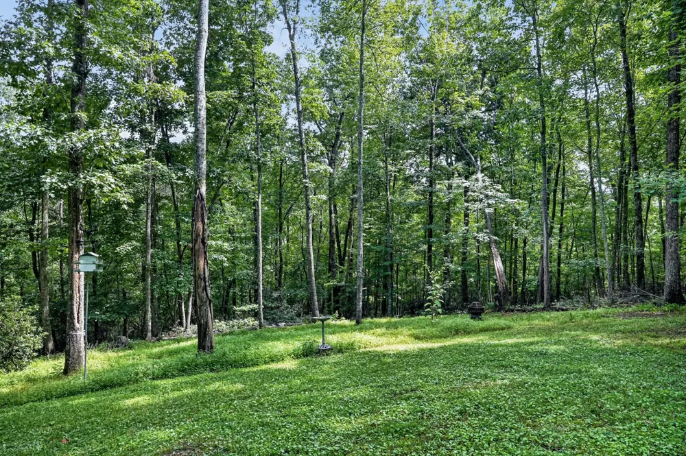 45 Point Pl Monterey, TN 38574