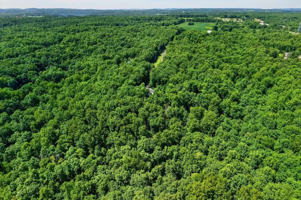 45 Point Pl Monterey, TN 38574