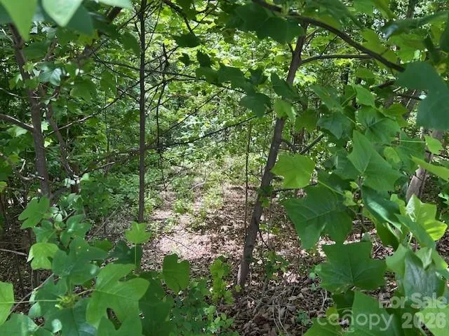 0 Azule Ridge Bostic, NC 28018