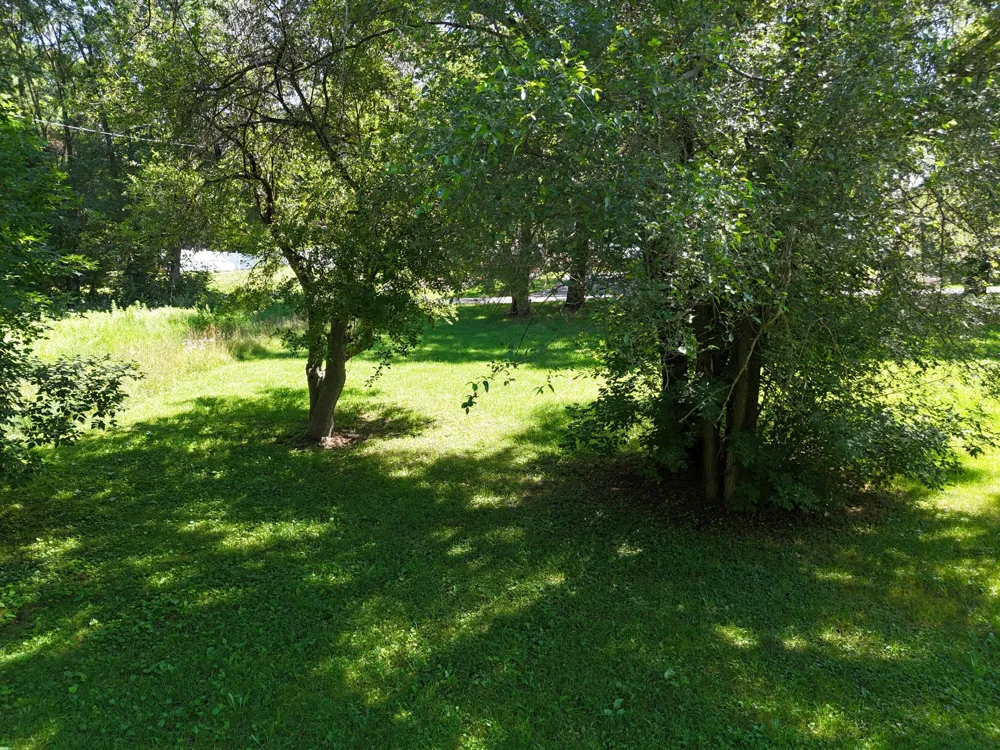 18846 Maple Street Copemish, MI 49625