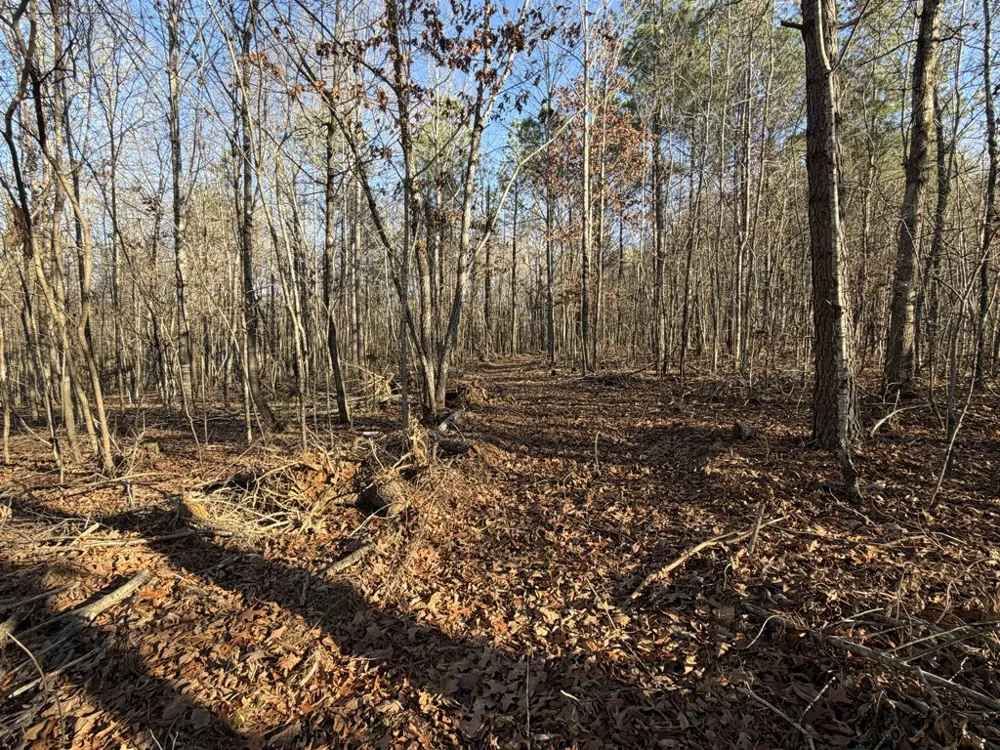 0 Hatley Rd Lyles, TN 37098