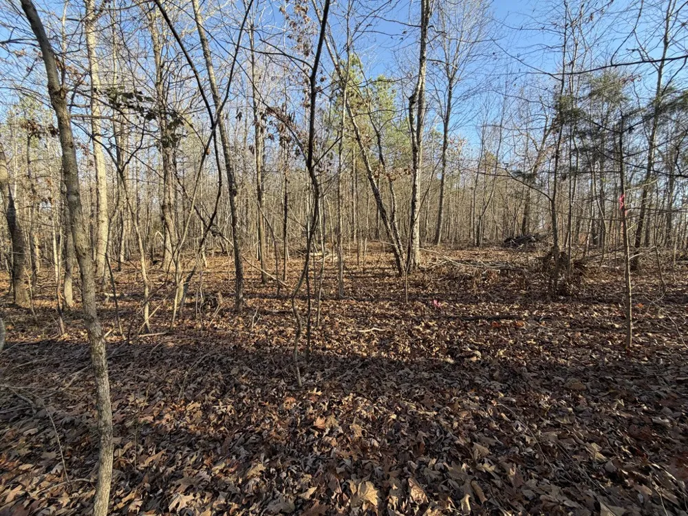 0 Hatley Rd Lyles, TN 37098