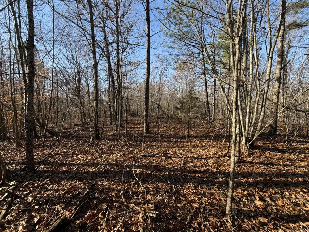 0 Hatley Rd Lyles, TN 37098