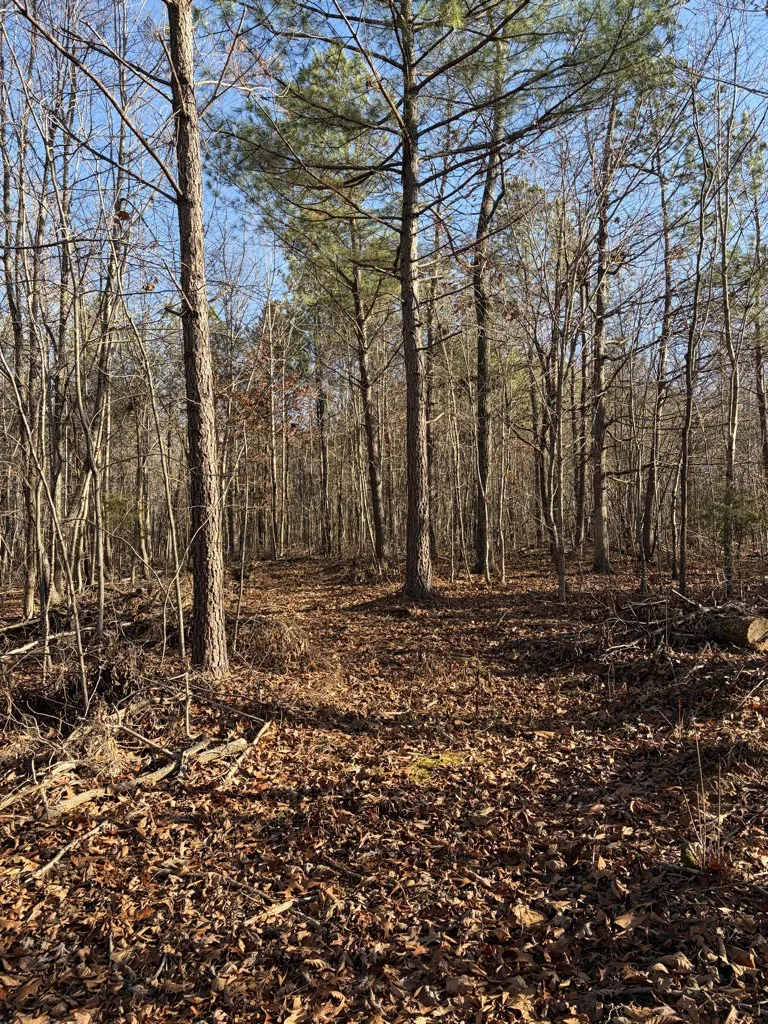 0 Hatley Rd Lyles, TN 37098