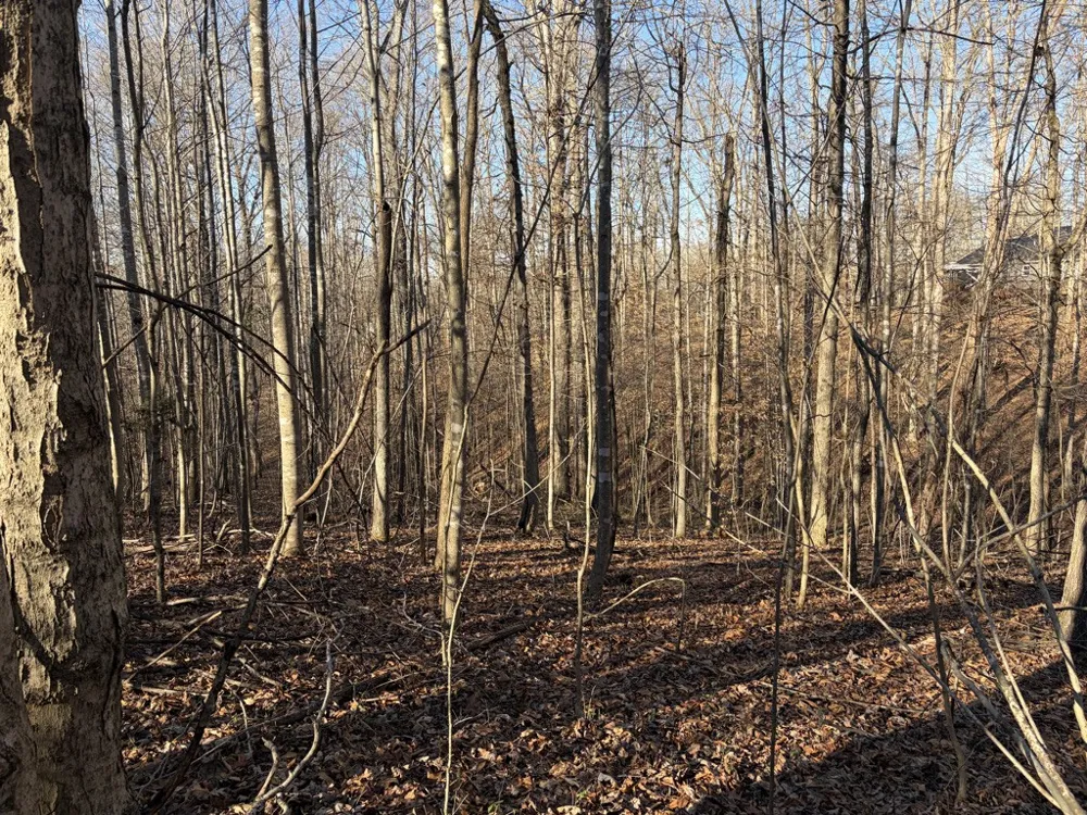 0 Hatley Rd Lyles, TN 37098