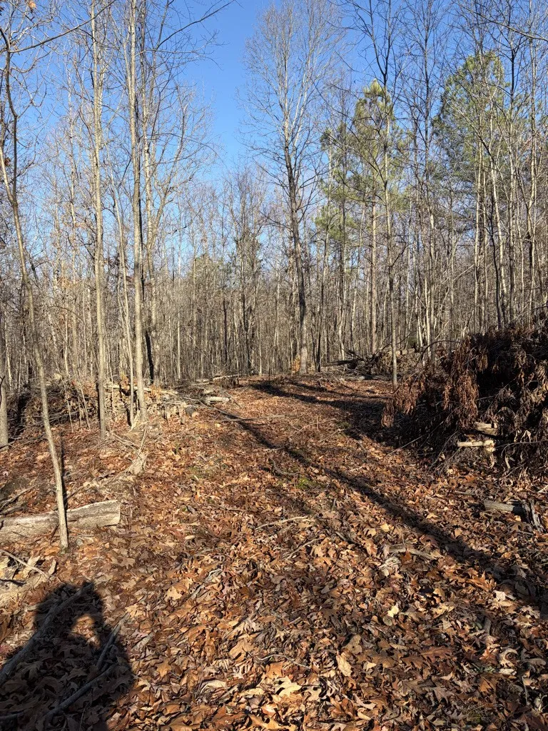 0 Hatley Rd Lyles, TN 37098