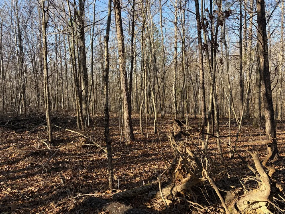 0 Hatley Rd Lyles, TN 37098