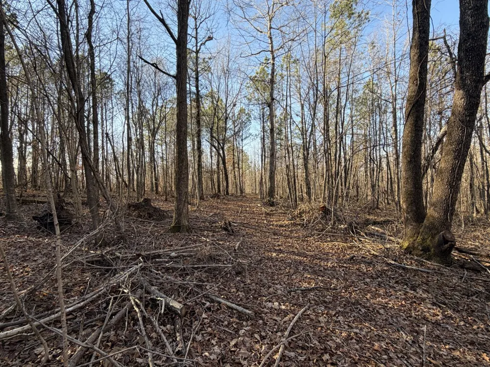 0 Hatley Rd Lyles, TN 37098